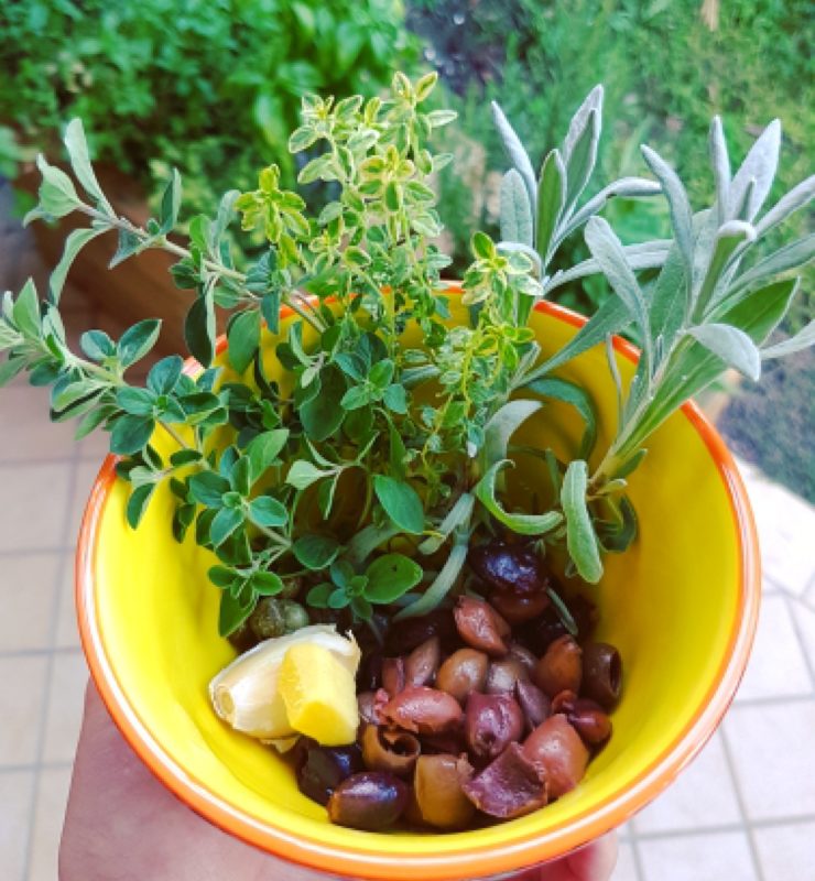 Sgombro in salsa di olive taggiasche ed erbe aromatiche