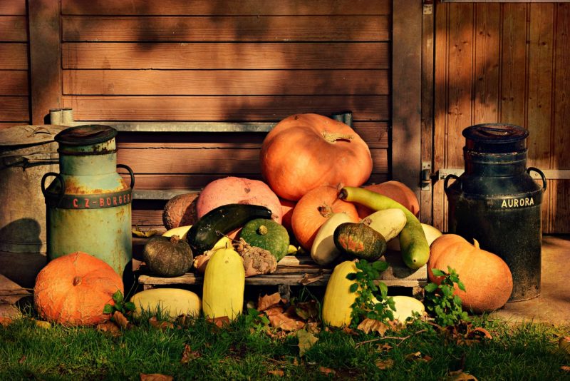 Frutta e verdura di stagione - ottobre